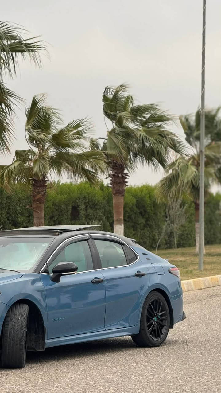 كاميري 2023 xse
موصفات معروفة مايحتاج اذكرهن 

بدون اي ملاحظة سيارة بسمي تحويل وكالا شرط 
حادثة جاملغ سايق فقد وصور حادث بل منشور 

سعر 265 وبي مجال بسيط 

سيارة مبي كليبس نقص سيارة سيارة مصروف علية من كلشي سيارة جاهزة لل اخر حبة 

ماشية 43000km

مكان سيارة كركوك 

***********
