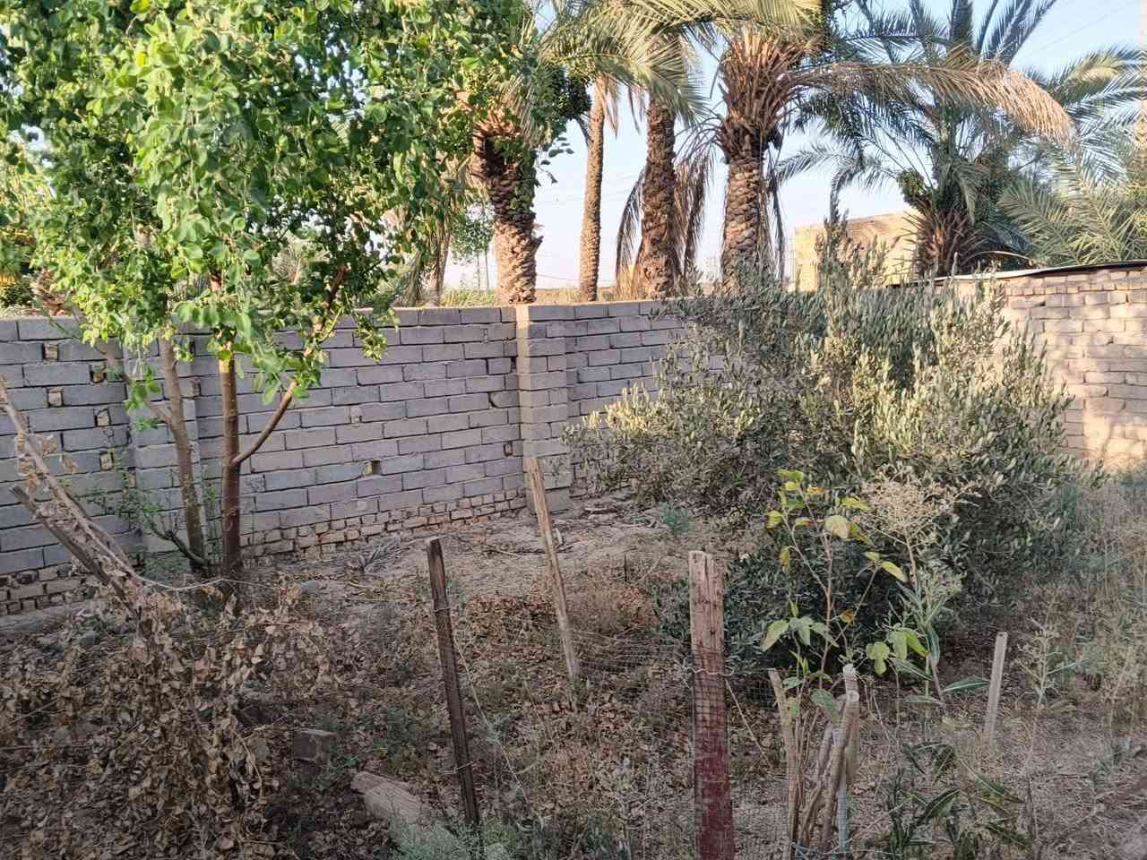 السلام عليكم بيت للبيع مساحه 600 متر من ظمنه قطعه و20 نخله ع شارع العام منطقة الخليليه قرب مدرسة الفارس الاستفسار عن هذا رقم ***********
