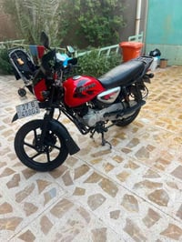 بوكسر • جبلي • ٢٠٢٢