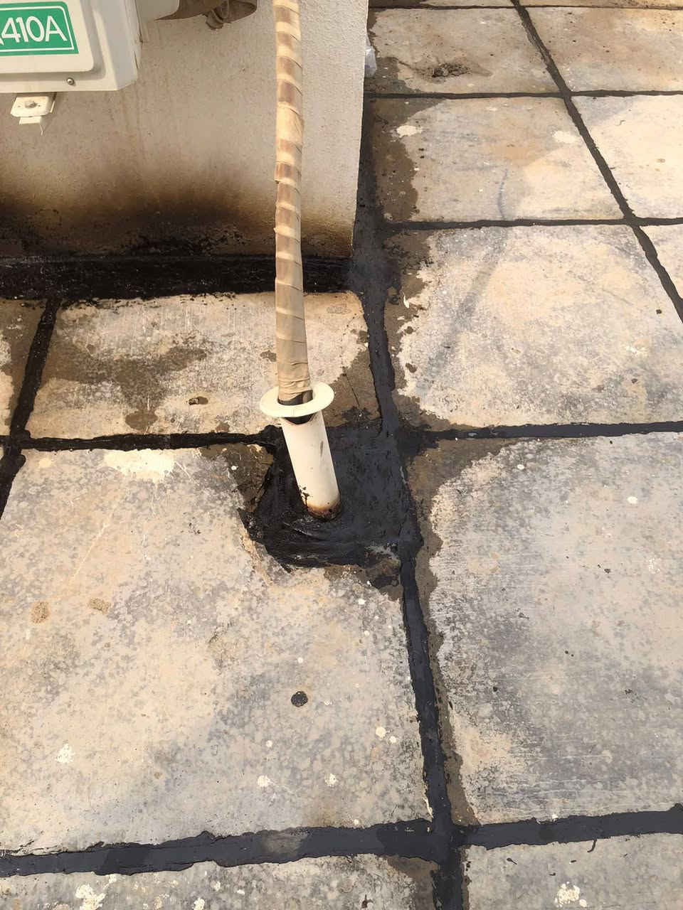 ماستك • في المجمع • جاهزين