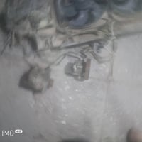 داينمو • باور براكيت • شغال