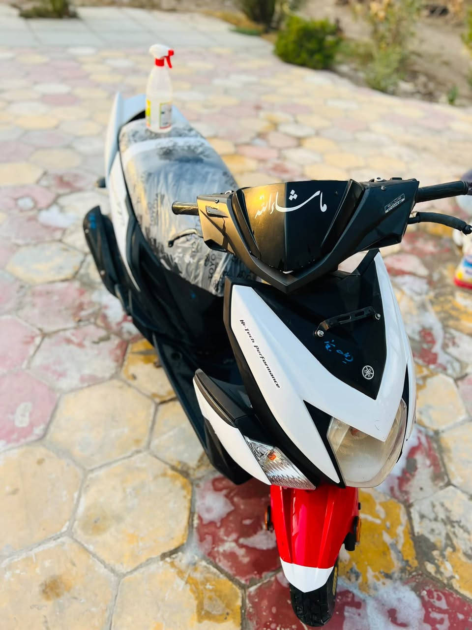 ZR19 • نضيف • فول