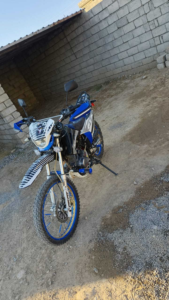 قفاز • ٣٠٠ • ٢٠٢٤