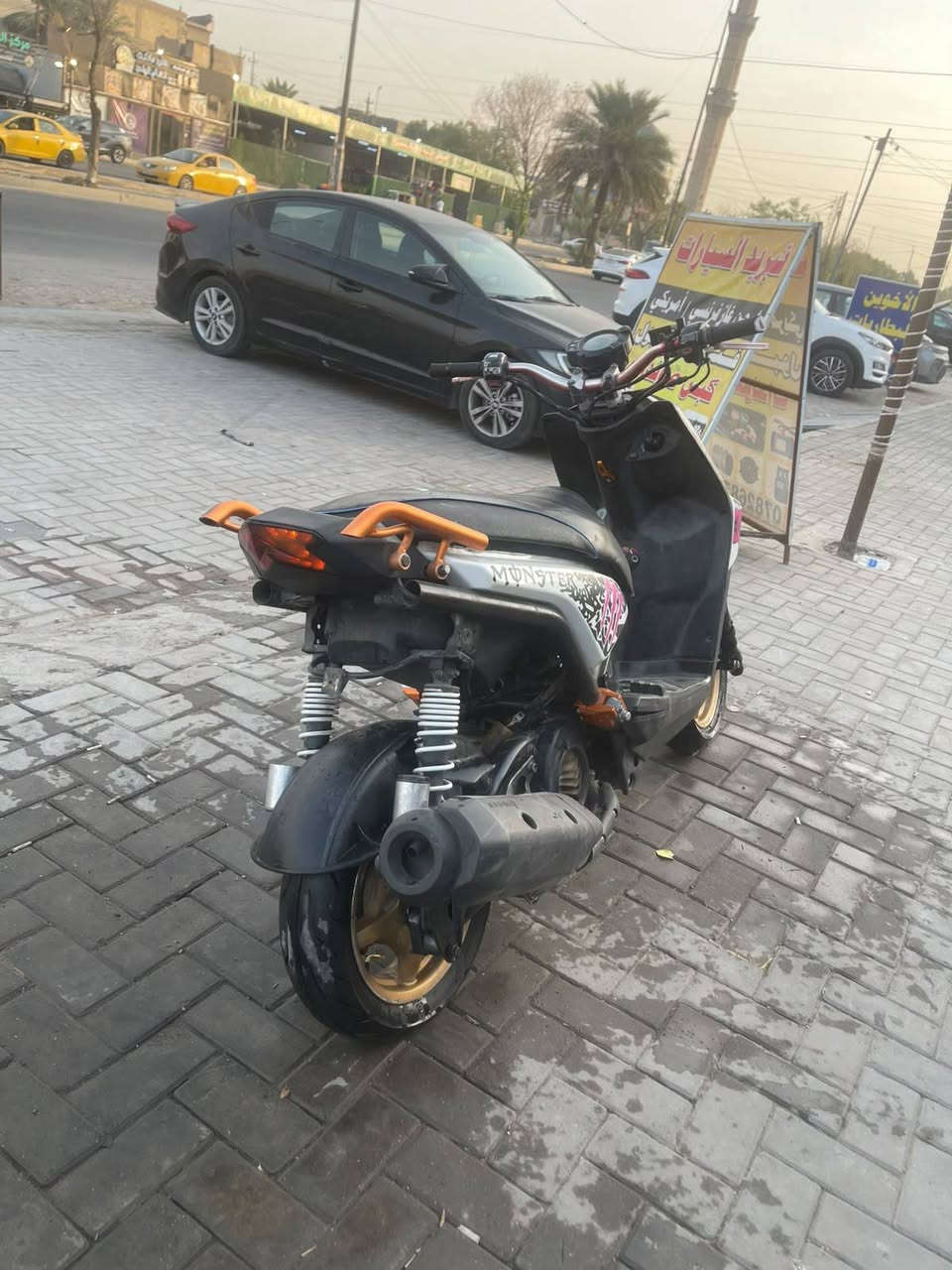 سكنس جبلي • دشبول • اربعه