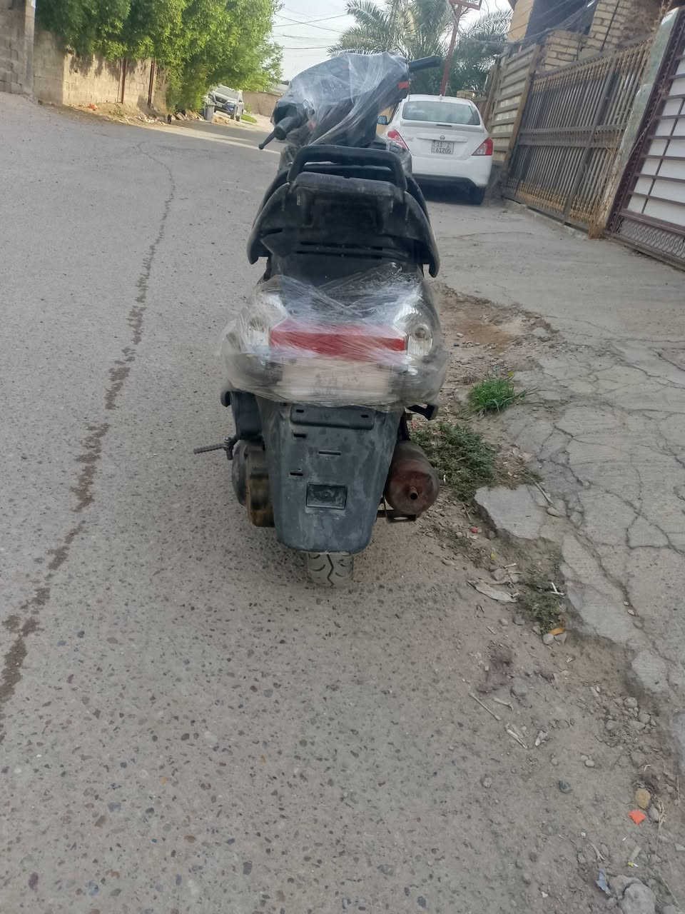نضيفه • ١٠٠ • معدل فول