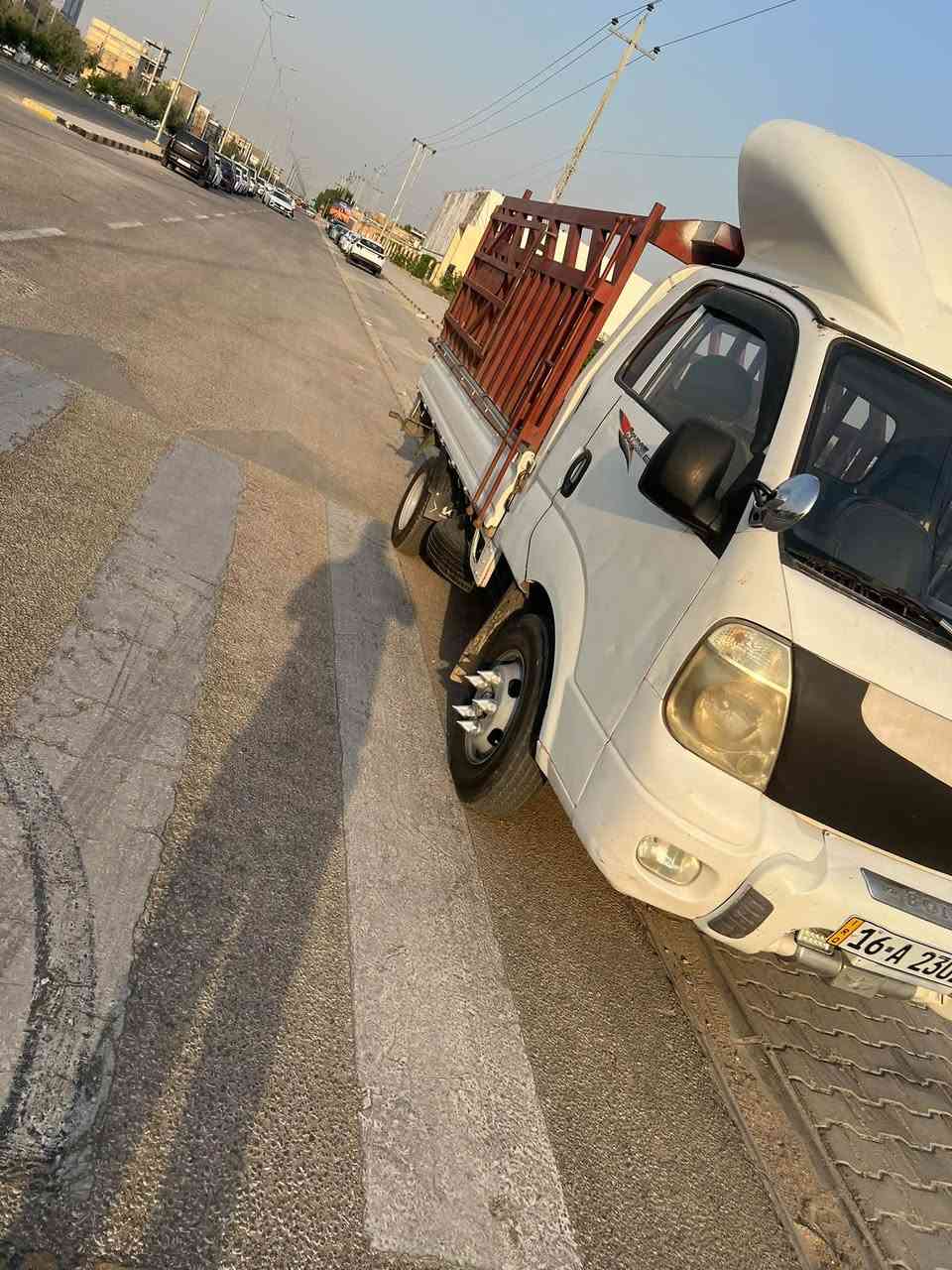 فحل حمل • ٢٠١١ • مكفولة