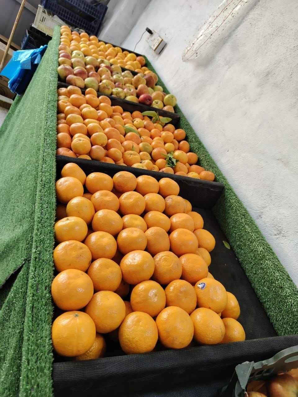 رفوف مقسمه خانات طول 5متر عدد2
خشب لوح مغلف ثيل والارضيه بلاويد اسود مغلف تور ضلي والهيكل حديد ثقيل  عنوان كربلاء طريق بغداد سعرالرف الواحد 200الف للاتصال *********** كربلاء, العراق
