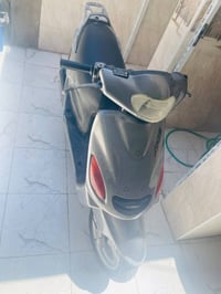 دولفين • ياباني • سلف-هندل