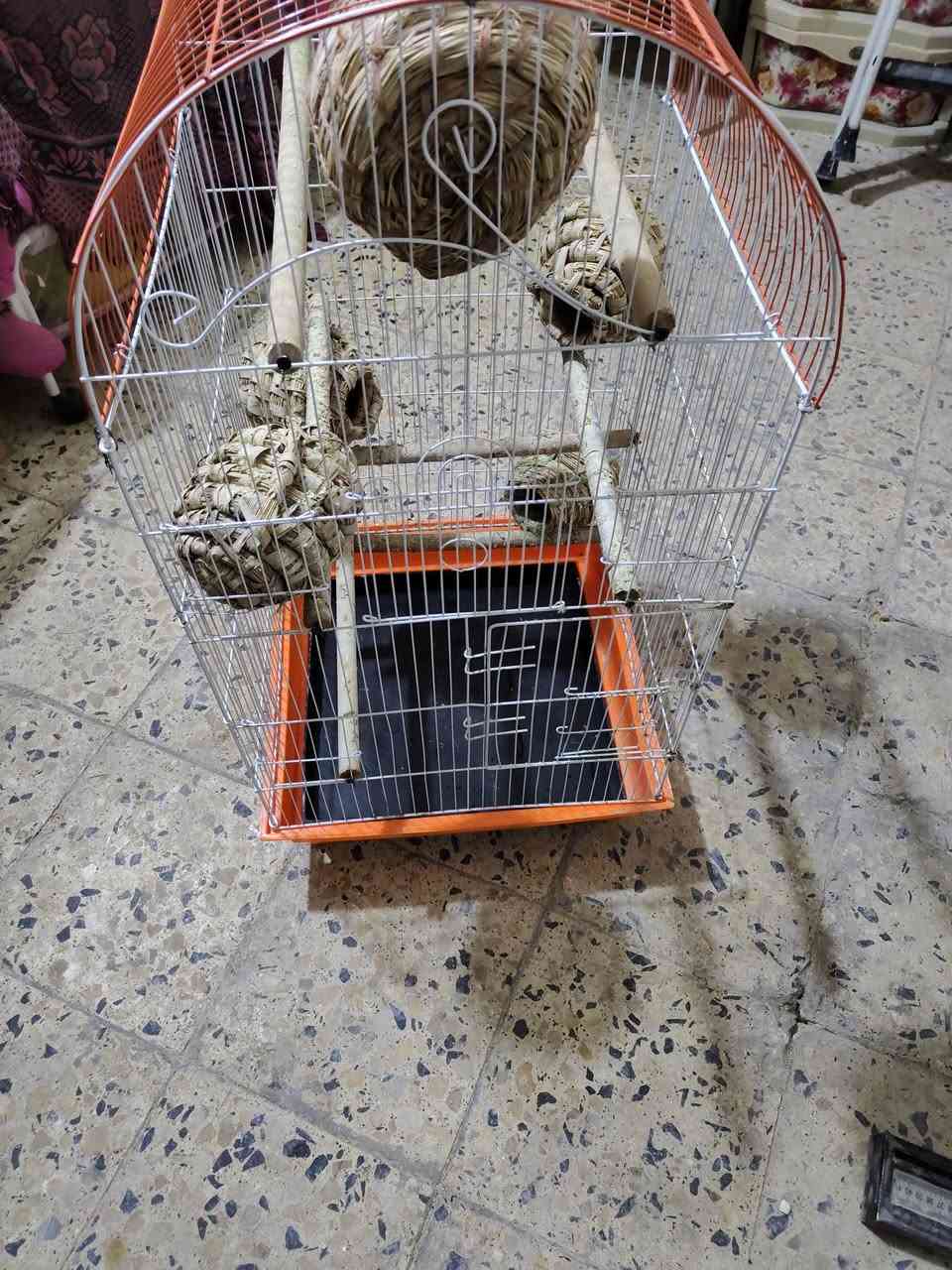 قفص • ٥بيوت • ناصريه مركز مدينة
