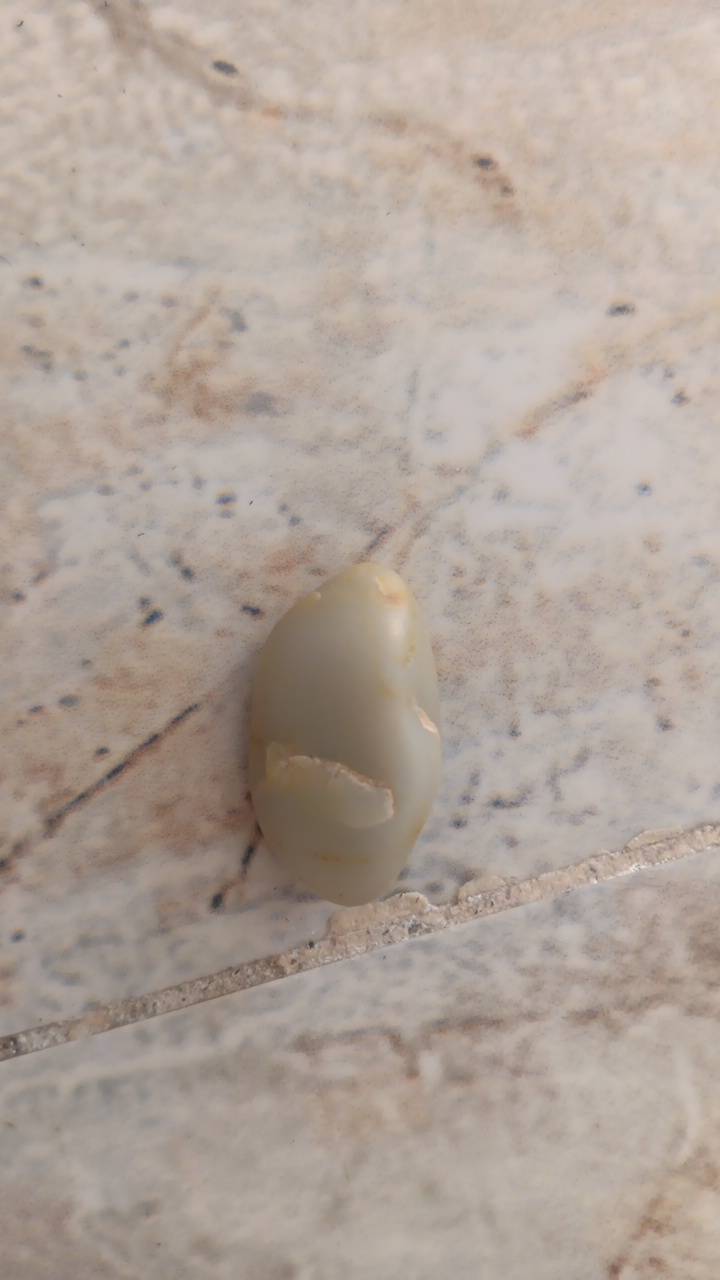 حجر • للبيع • حي اور بغداد