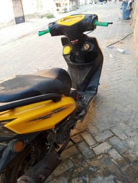 سكنس • شغاله • كايمه