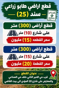 طابو زراعي • ٣٠٠م • حي الأمير الثاني