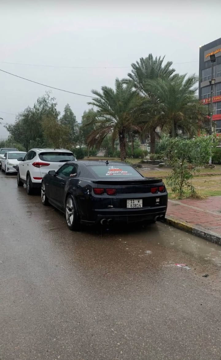 السلام عليكم شباب
للبيع او المراوس كمارو ss performance package 2012

ماشية 100 كيلو

رقم بغداد

صبغ 3 قطع

السيارة مزودة حشوة كاملة رجاءً لا تقارنها بالستوك و مصروف على السيارة مبلغ بكد سعرها

الغراض العليها

كام شفت ستيج 3 btr

يطغات acl استرالية

يطغات كام dura bond امريكي

شياش comp cams

سبرنگات texas speed

اويل بم ميلنگ

براغي كور ARP

رنگات hastings امريكي

بطالة كورڤت

بساتم جديدة

بلوك مكينة جديد

اكسل zl1

هدرز لونگ تيوب

شوته kn

السيارة مشتغلها مشروع دوس قوي و افتح rpm عالي و كل الشغل و القطع صار شغلهن بطريقة احترافية بدون غلط و مجهزها كاملة

السعر 12,000$

و الماتعجبه السيارة تروحله فدوة بس لا يكسر بحلال غيره

للتواصل ***********
