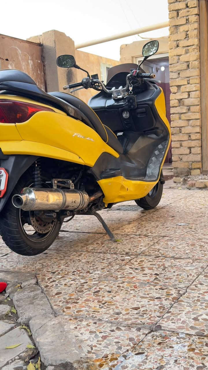 فورزا • معمره • ٢٠٠٨