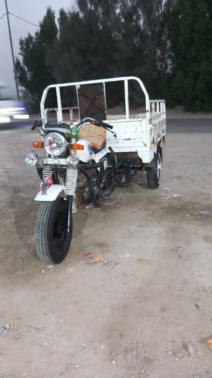 ستوته • ٢٠١٤ • رقم وسنوية