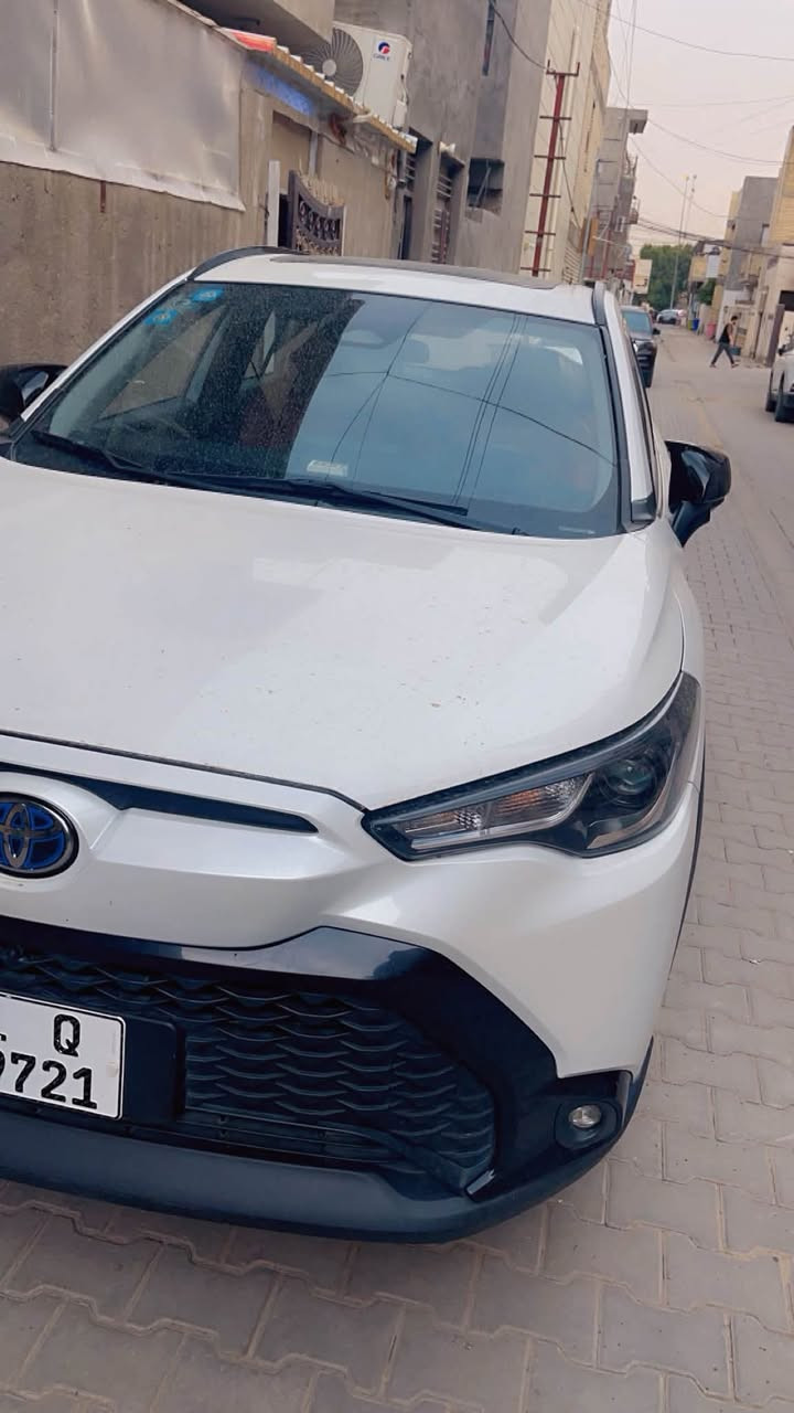 فروت لاندر • ٢٠٢٤ • هايبرد