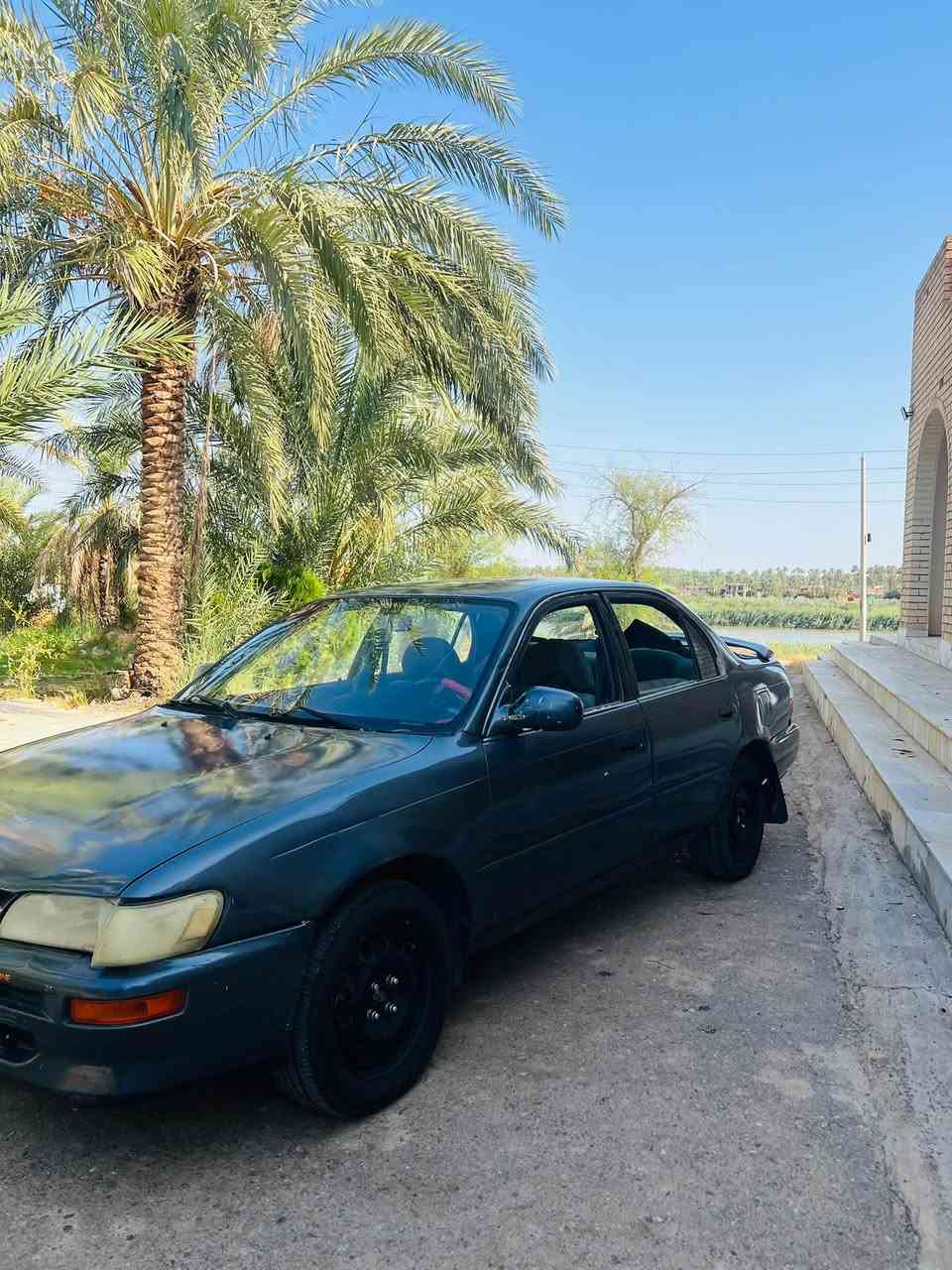 السلام عليكم للبيع للبيع فقط❗️
كورلا موديل 1991 رقم أنبار تحويل مباشر
صدر نص عمر تيرات تخم جديد
مصبوغه عام 
داخلها يريد كماليات 
جام كهربائي 
محرك وگير خير من الله 
السعر(38)وبيها مجال حگ الجيه
مكانها صلاح الدين الضلوعيه
***********
