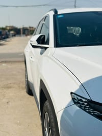 توسان • ٢٠٢١ • صبغ خلفي