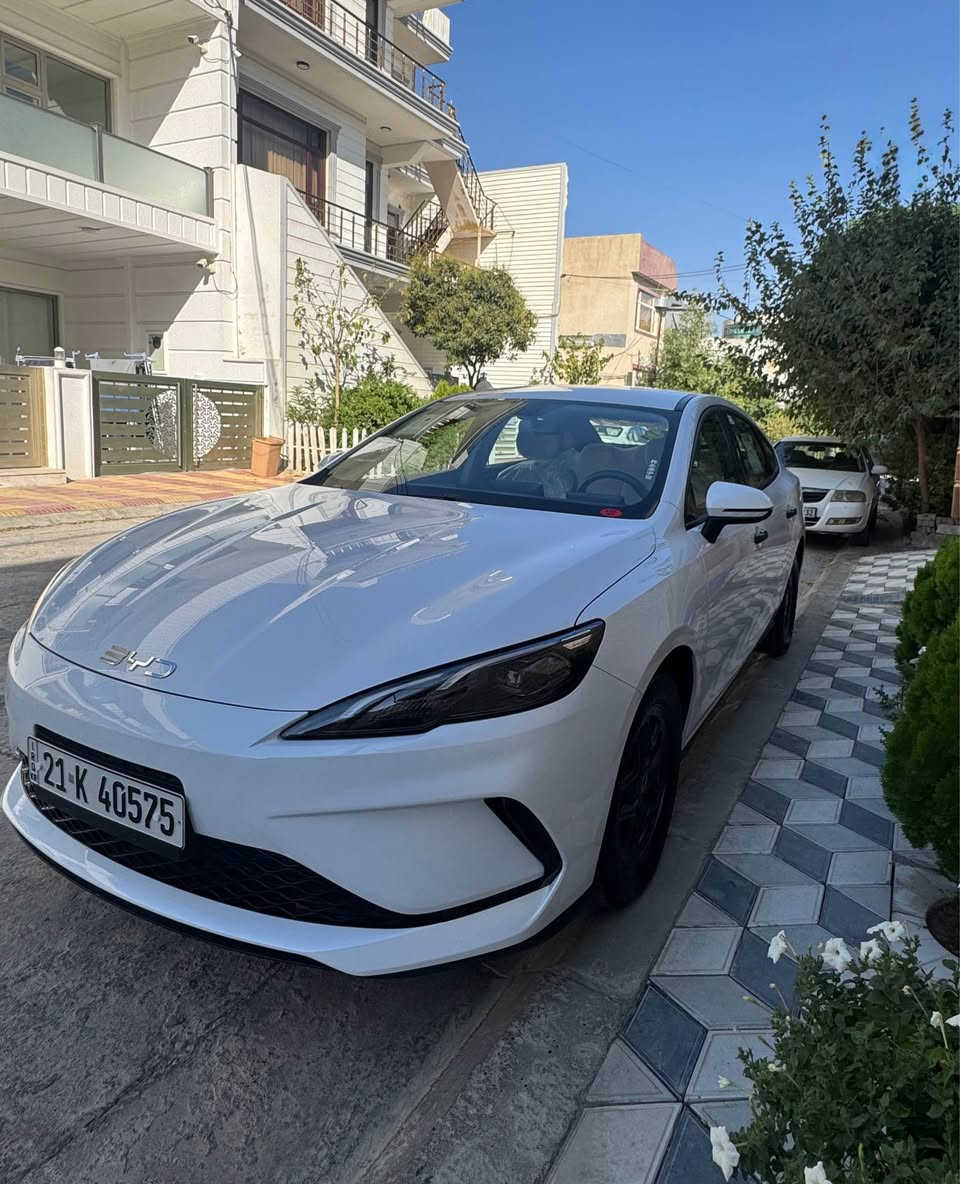 Byd sel 05

بێ بۆیاخ بێ سارد بێ شوخت
١٥هەزار ڕۆشتووە رەقەم سلیمانی
*********** السليمانية, العراق
