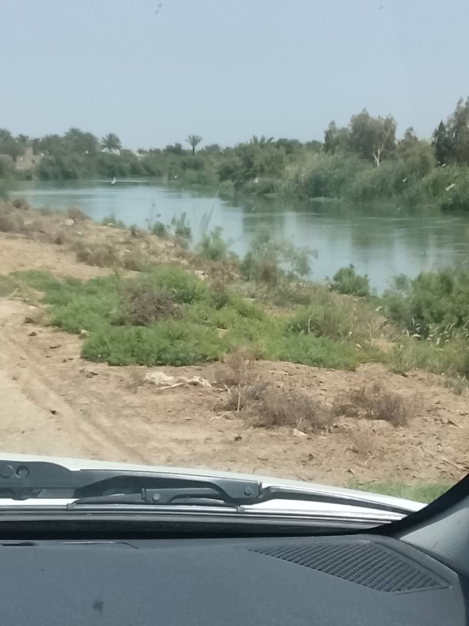 ارض زراعية للبيع طابو زراعي مساحه 30دونم تقع على الشط مباشره واجهه 200متر تتوفر فيها جميع الخدمات تبليط ومي سقي  ومي اساله وكهرباء الارض مزروعه بكامل موقع الارض شط حله ديوانيه للاتصال أو الاستفسار ***********
