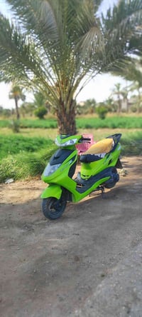 سكنس • ٢٠٢٣ • مجال