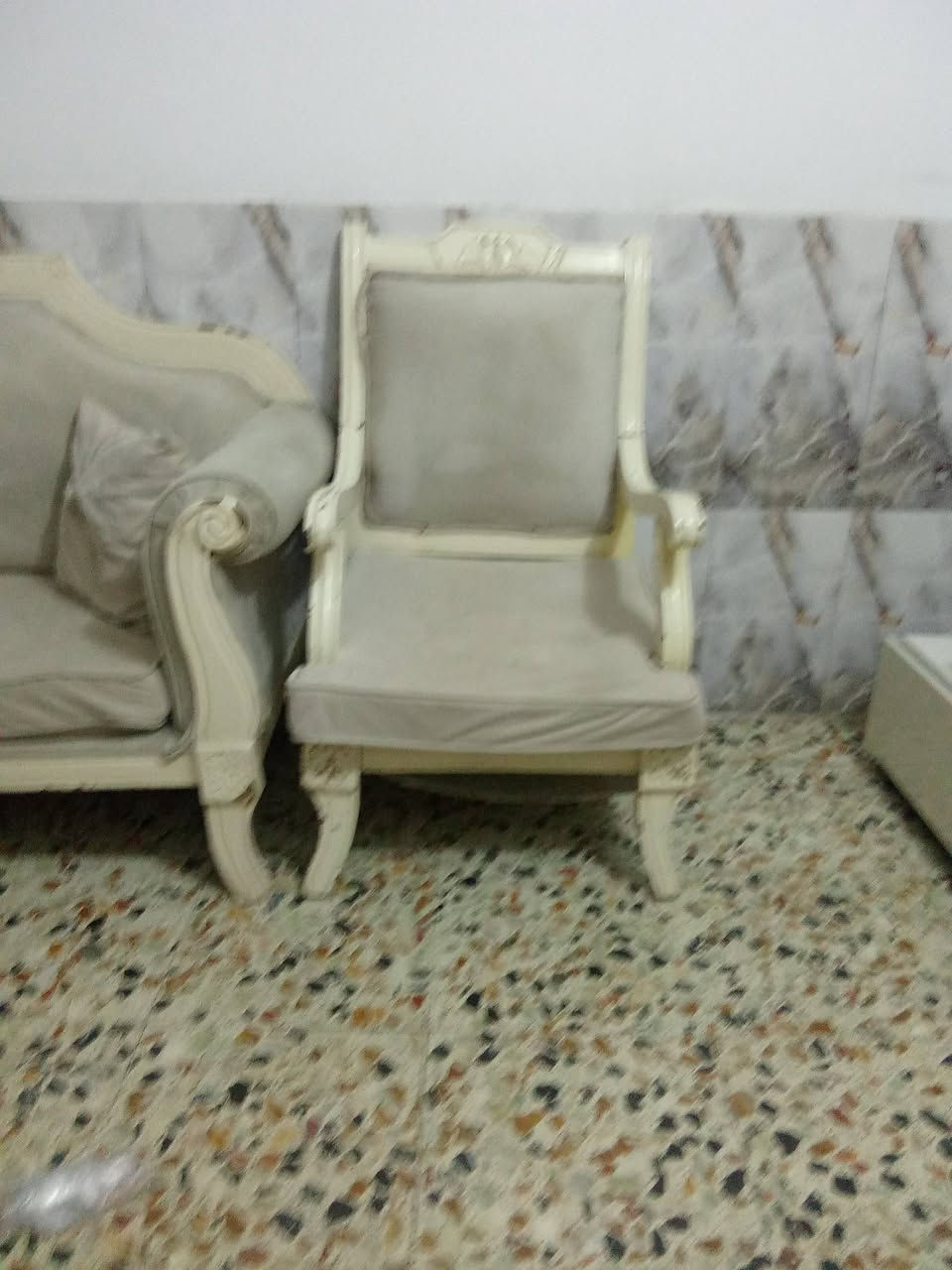 تخم للبيع المكان الرمادي الخمسه كيلو الرقم متوفر واتس***********
