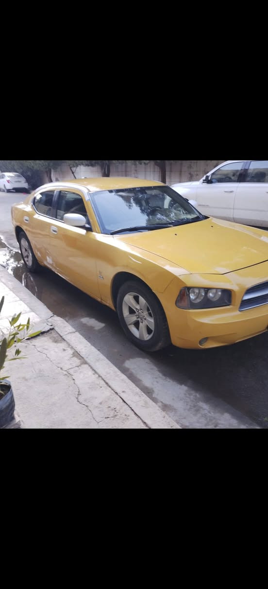 السلام عليكم جارجر للبيع رقم انبار باسمي خطها بغداد كربلاء موديل 2009 حدثه جاملغ الامامي اليسار
مكاني بغداد السياره جاهزه سعرها 75 ومطلوبه غرامات مرور 5 ورقات ينكطعن من سعرها ***********
السلام عليكم جارجر للبيع رقم انبار باسمي خطها بغداد كربلاء موديل 2009 حدثه جاملغ الامامي اليسار
