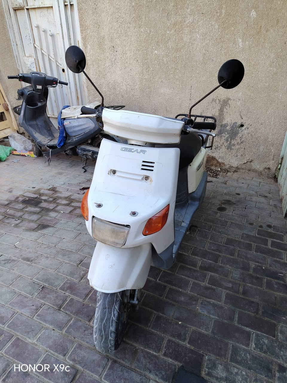 بطه • منغولي • موديل 99
