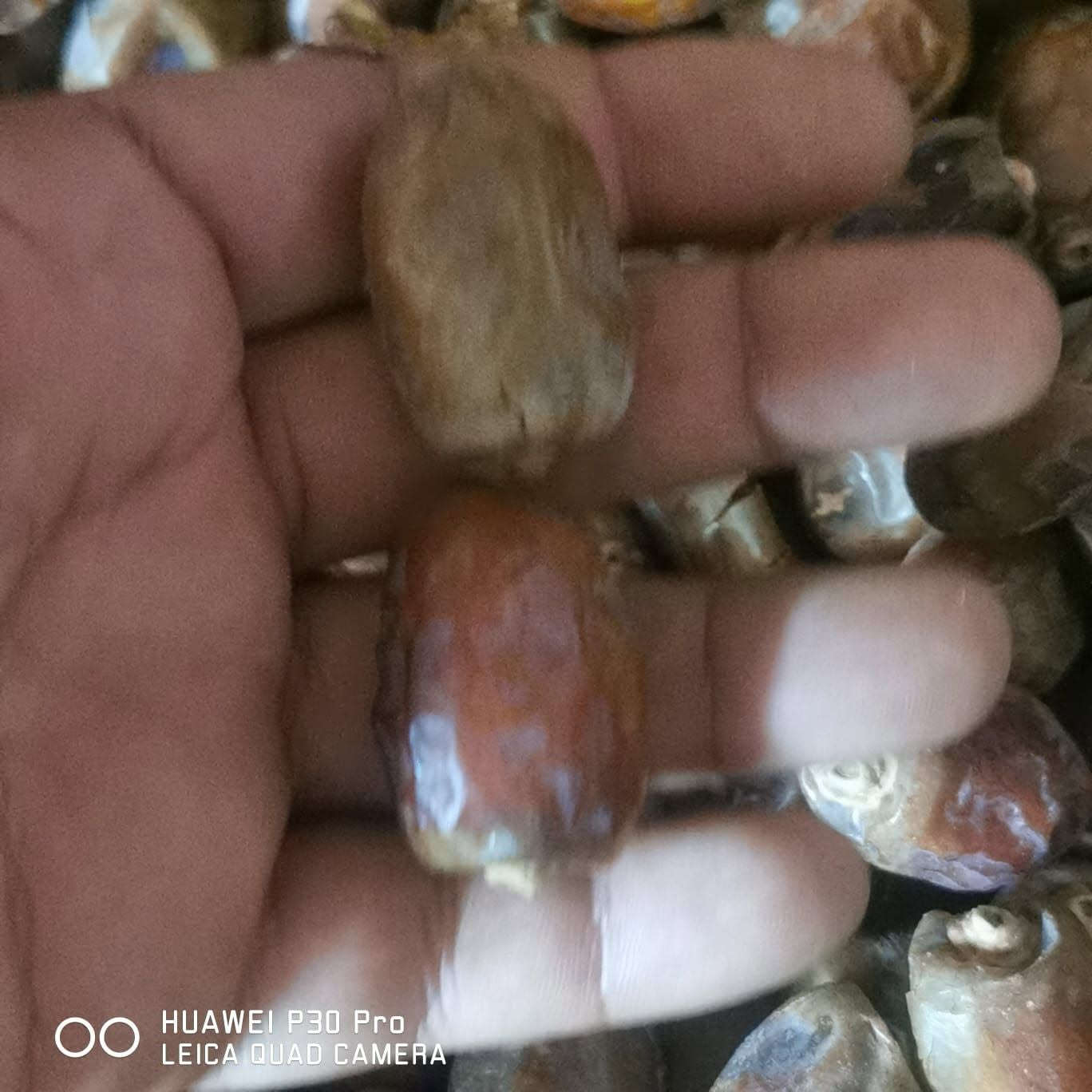تمر خضراوي • نظيف • توصيل
