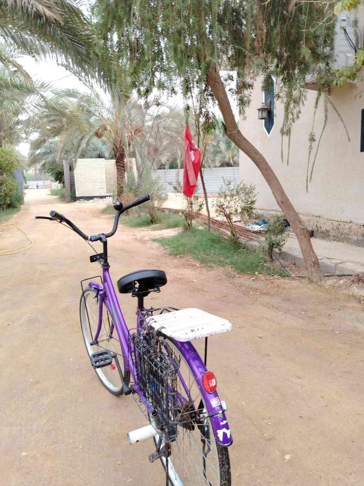 بايسكل • حجم ٢٦ • بنفسجي