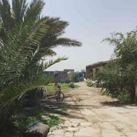 دونم اللبيع زراعي 1.يحتوي على ثلاث بيوت 2بناء تسليح واحد بناء قديم  2....