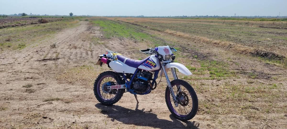 قفاز للبيع دراجه مكينه 200بل كارتون دراجه خير من الله ما تخسر عليهه ربع مال جناي اترايك للبصره الشراي يتصل ويدلل مكاني ناصريه بل شطره ***********السعر 1300وبهه حك الجيه
