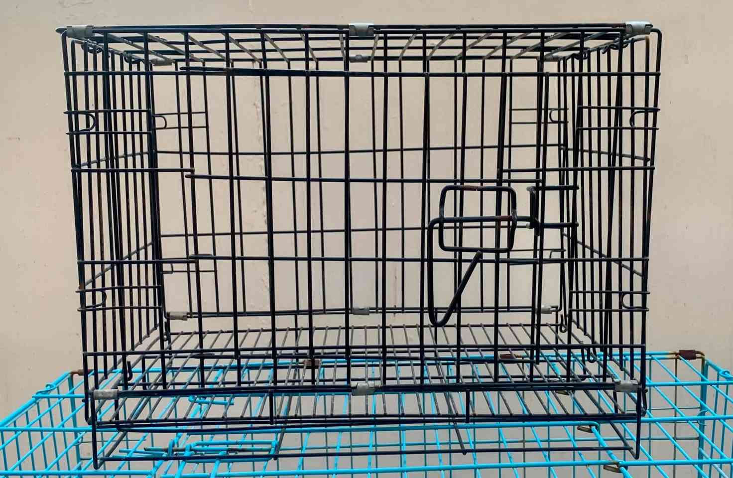 اقفاص مستعملة للبيع عدد 3 بقياسات مختلفة:

الوردي : الطول90  العرض56  الارتفاع62
الازرق   : الطول76  العرض45  الارتفاع52
الاسود  : الطول46 العرض30  الارتفاع36

كلهن شلع ب50 الف مكاني بغداد حي الجهاد للتواصل واتساب ***********
