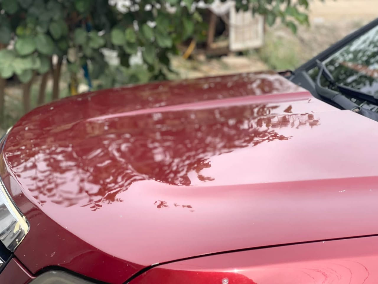 مهافي • ٢٠٠٩ • مصبوغه