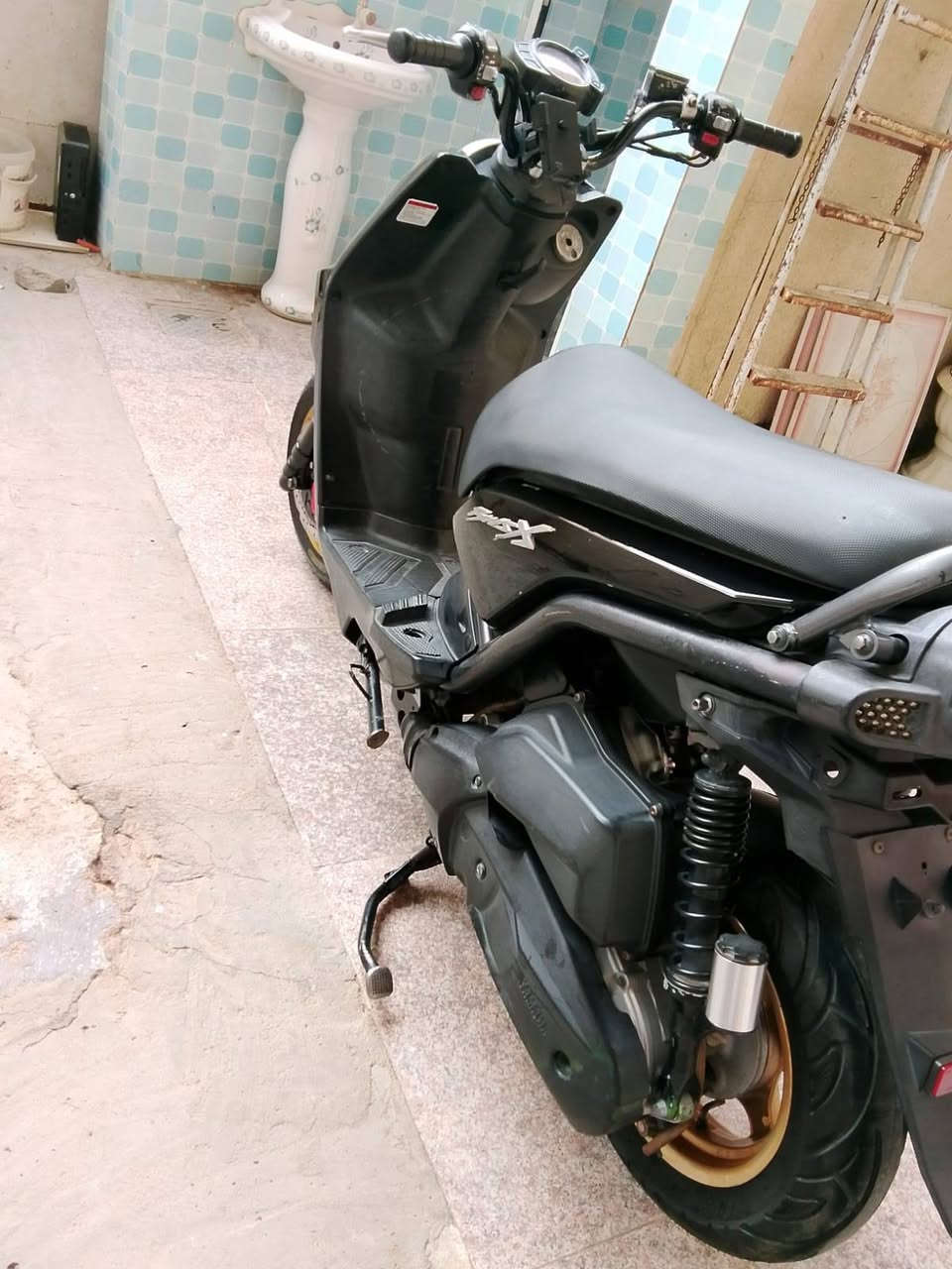 ماكو جبلي • حاويه • جديده