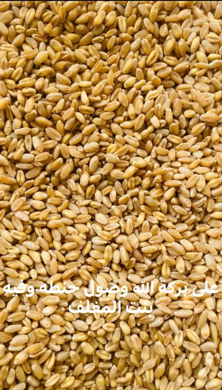 حنطة بنت المغلف • حنطة نزار • العزيزية واسط