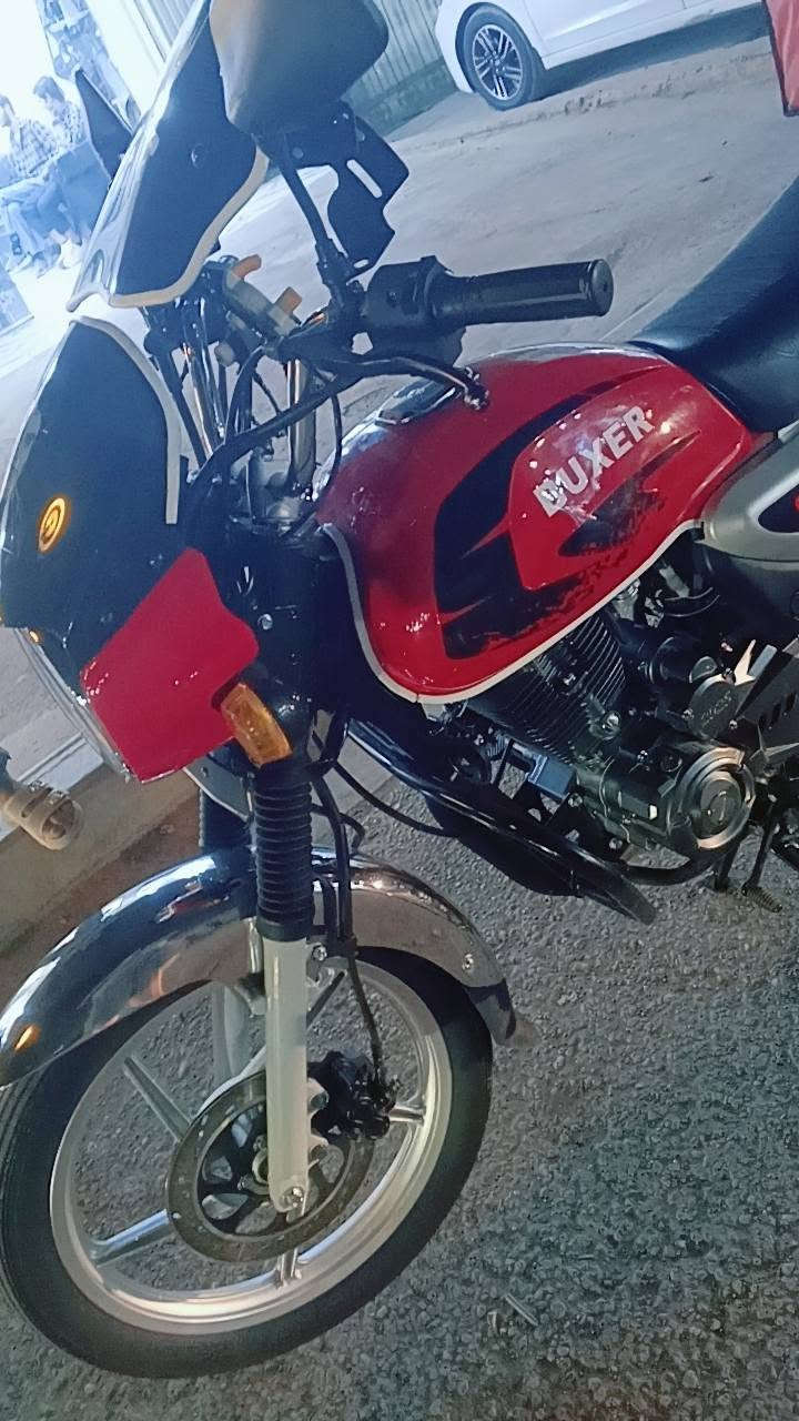 بوكسر • ٢٠٢٥ • كفالة