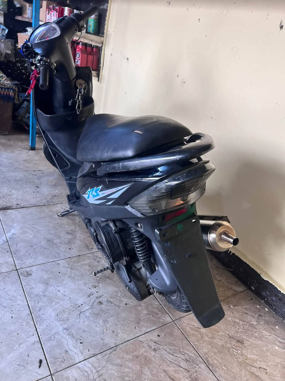 ماكس عدلة