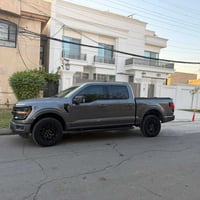 بلاتنيوم • ٢٠٢٤ • بدون صبغ