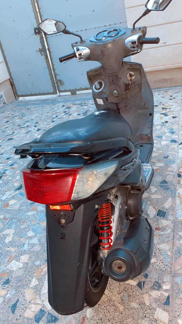 سكنس • ياباني • نضافة95%