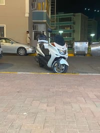 ماجسته • رخصة سنوية • تاير ورا جديد
