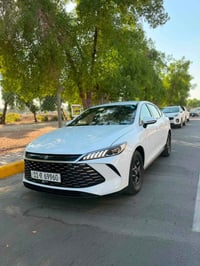 قين بلس • ٢٠٢٥ • بغداد