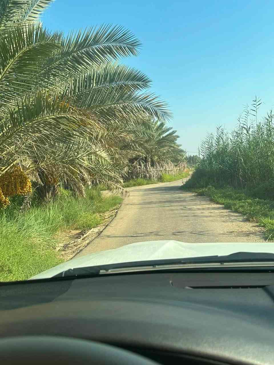 السلام عليكم ارض بمساحه 2 دونم في كربلاء طريق طويريج عامود 250 شارع نهر السلام سند 25 تحويل أسهم  تباع على شكل آلاف او دونم او اكثر. للاستفسار *********** 
***********
