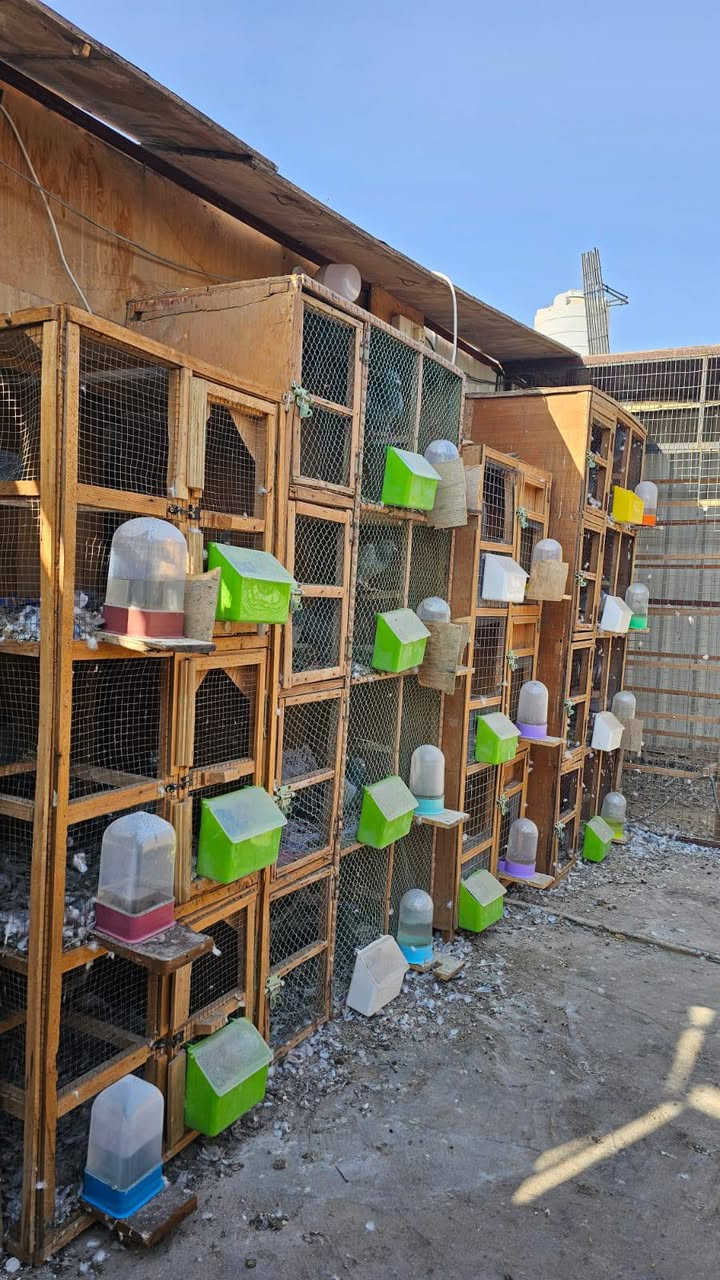 ***********
متوفرات خانات للبيع  ميسان 23 خانة 
الخانة الوحدة بعشرة هنا وغراضهن كاملات 
بس الشراي يتصل
