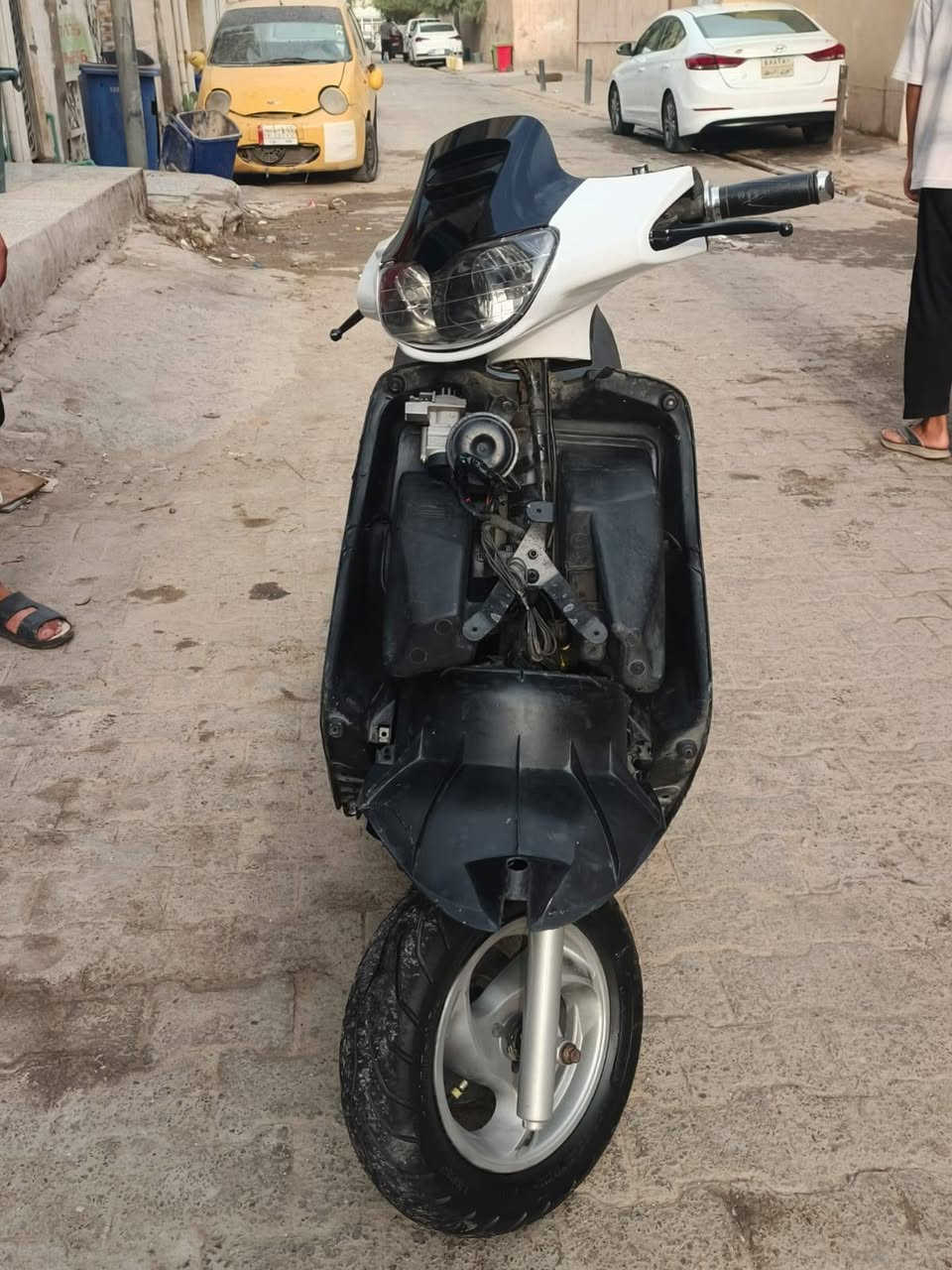 فراشه فحل • نضيفه • توه مجفته