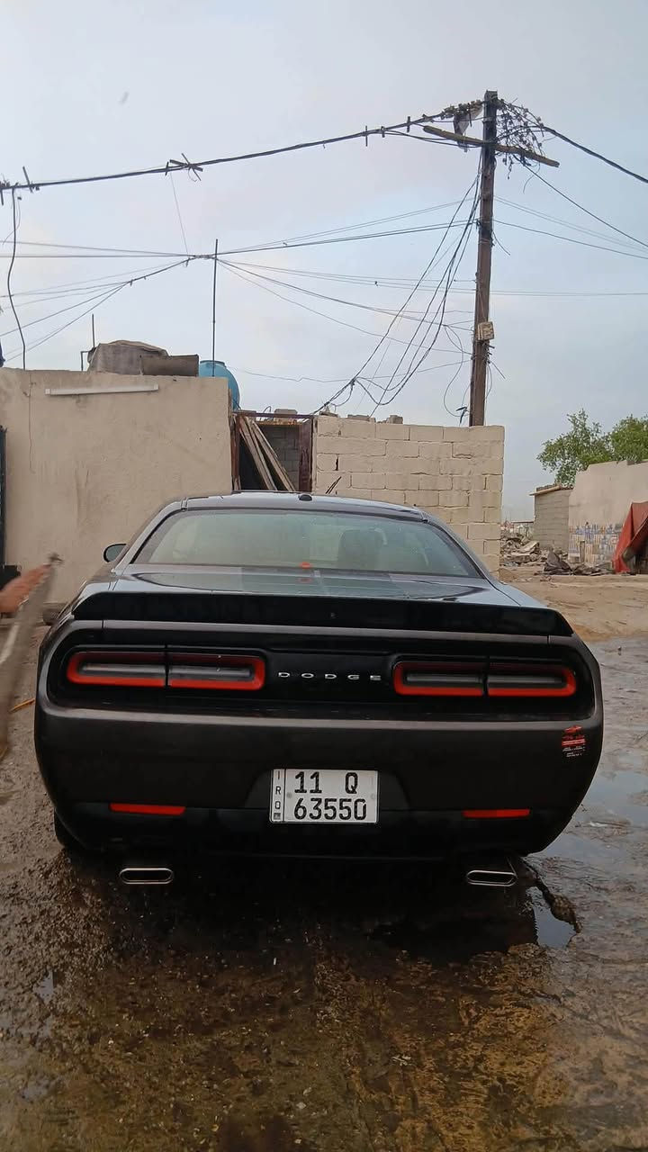 جالنجر SXT • ٢٠٢٣ • رقم بغداد