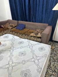 دوشك طبي • دبل • ١٨٠×٢٠٠