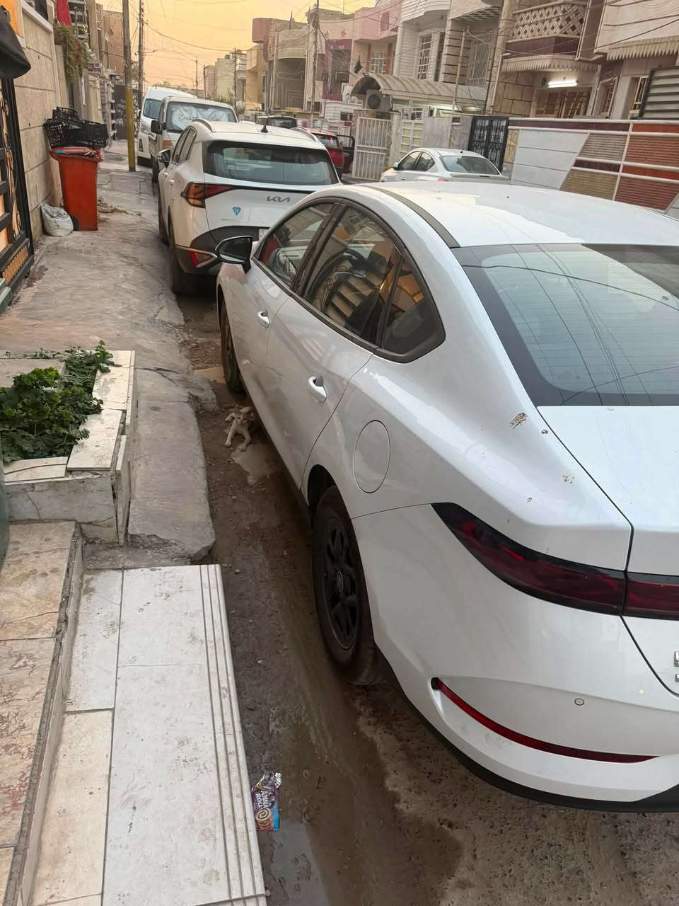 السلام عليكم
چن بلس للبيع مكفوله كفاله عامه 
غراض كامله بلاديه حتى الكاعيات
ماشيه ١٢ الف داخل زيتوني
مكاني بغداد الشعب
السعر ١٩ مليون
***********
