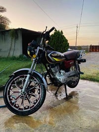 سونك • ٢٠٢٤ • دبلات
