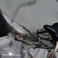 باسكل • دينمو • دسك مكسور